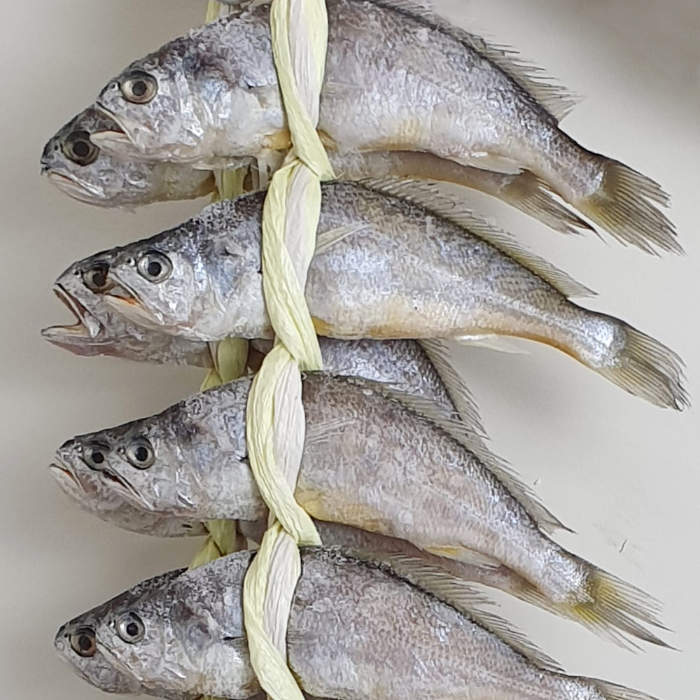 법성포 영광굴비 가정용 세트 20미1.6kg/1.8kg : 뽀유