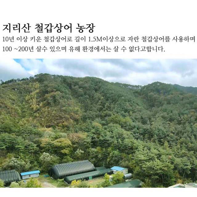 강복자 장어즙 기력회복 민물장어 국내산 장어 진액 효능 : BEST 강복자