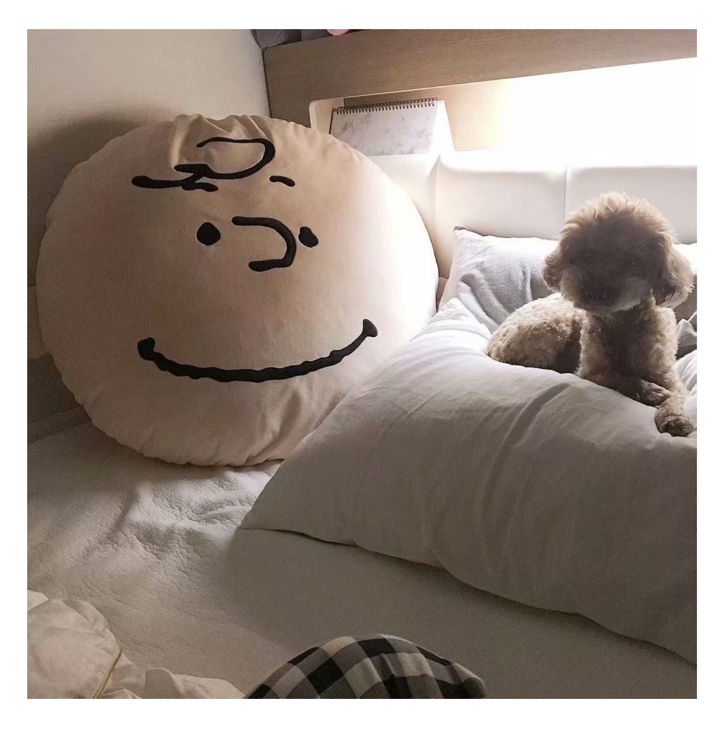 찰리브라운 스누피 인테리어 쿠션 : 핫딜백화점