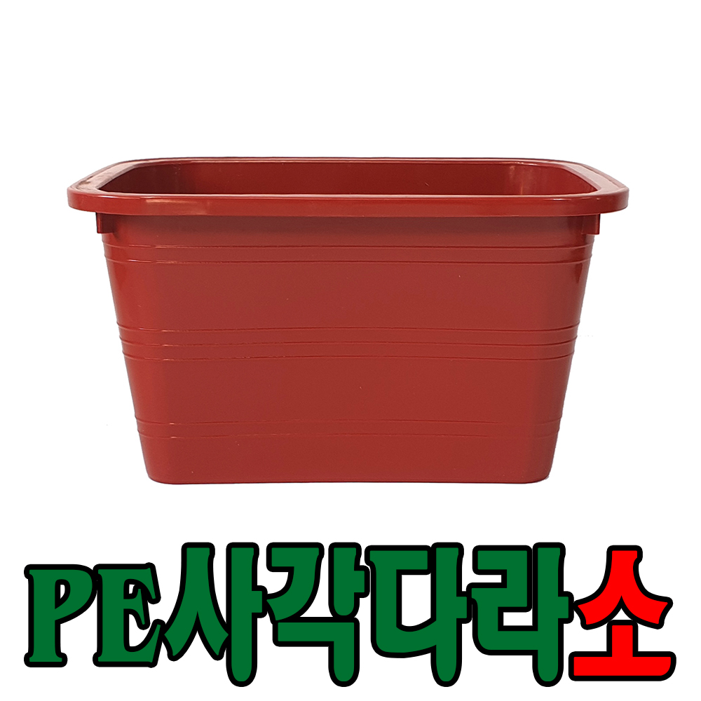 플라스틱 사각 다라 화분 PE사각다라 소 : 세이프24 스토어