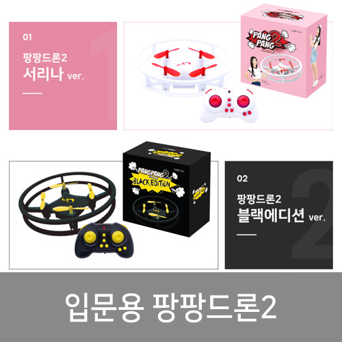 미니드론 팡팡드론2 입문 연습용 초보자용 드론 : IT세상