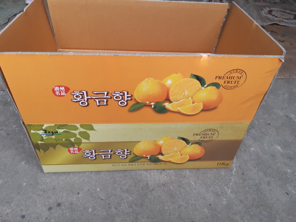 제주황금향  10kg : 써니롱롱샵