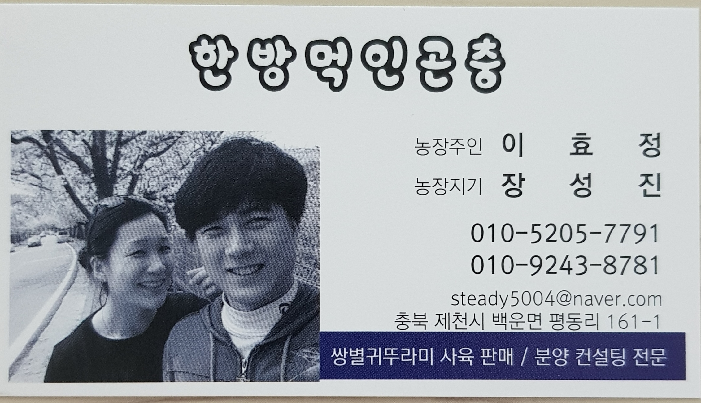 건조귀뚜라미 100g 식용곤충 단백질 환자식 국내산100% 천연조미료 한방먹인곤충 : 한방먹인곤충 - 한곤