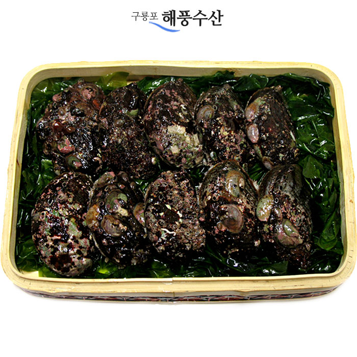 자연산 전복 1kg (4-5미) : 해풍수산 스토어