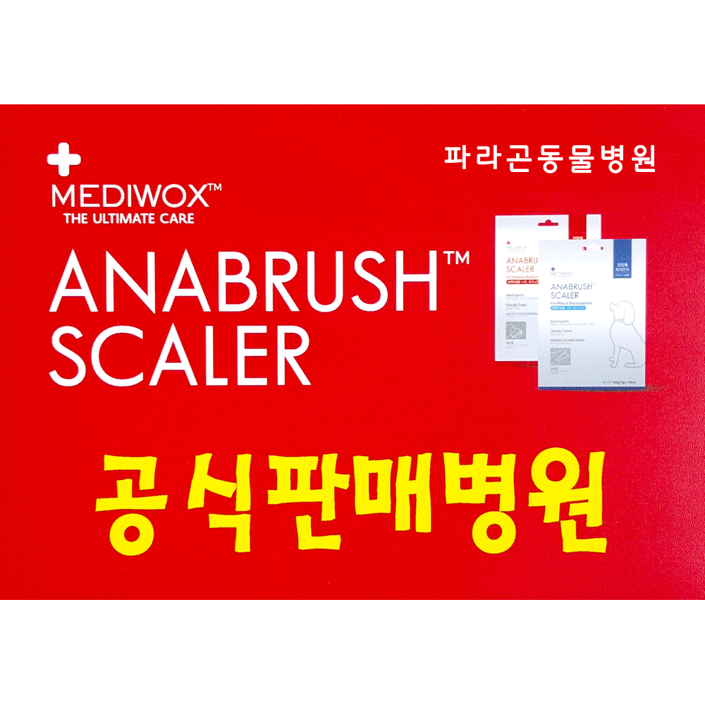 메디웍스 아나브러쉬 대용량 일반두상용 40+10개 : 파라곤동물병원 스토어
