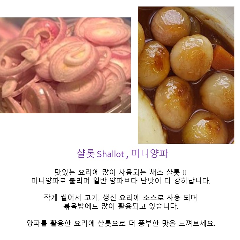 샬롯 (Shallot) 1kg : 호아마이주식회사