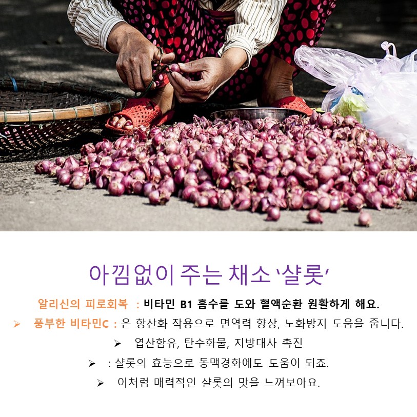 샬롯 (Shallot) 1kg : 호아마이주식회사