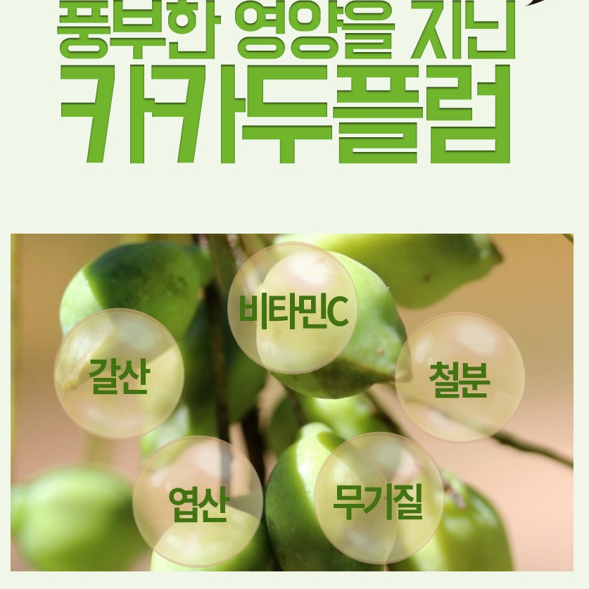 고농축 카카두플럼 추출분말 500g(자연유래 천연비타민) : happystore70