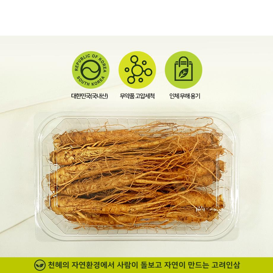 고려 인삼 5호 수삼 금산 : SION COMPANY