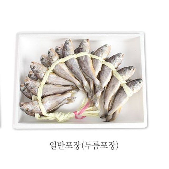 법성포 영광굴비 선물세트 20미1.6kg 국내산100% 참조기 : 주영광굴비수산