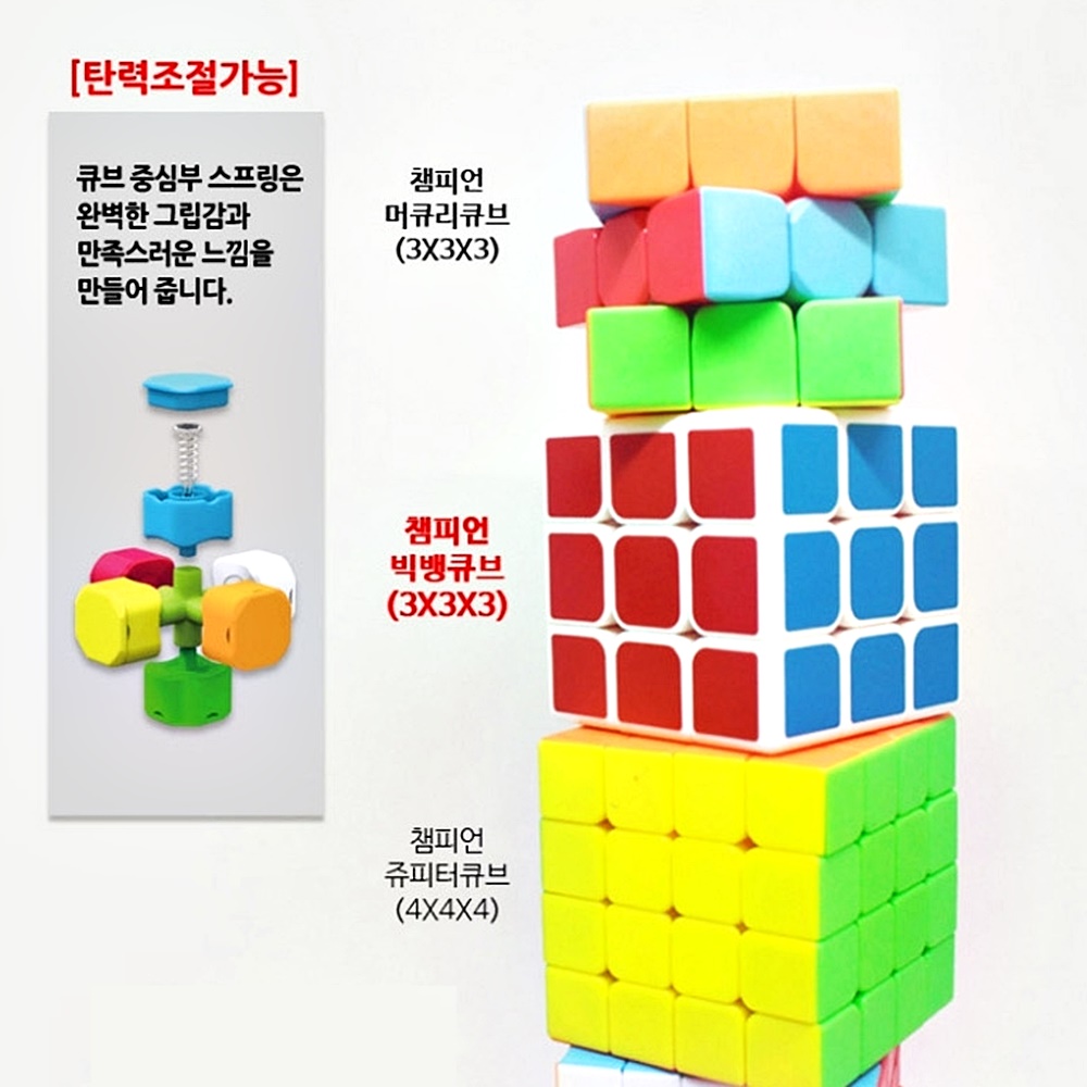 챔피온 큐브 5종 두뇌게임 아이큐큐브 집중력 높이는놀이 : okey shop