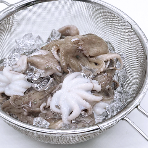 냉동쭈꾸미 주꾸미 200g 반손질 소분 볶음 국물용 : 마녀수산