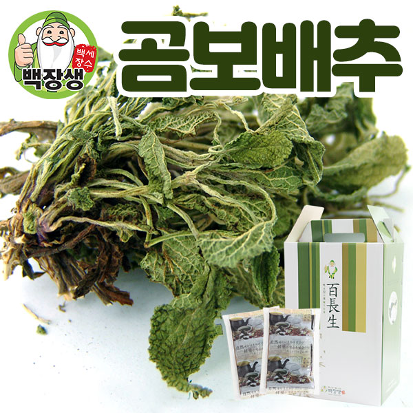 백장생 곰보배추 건재 액상차 : 백장생