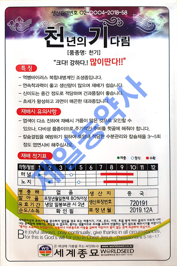 천기고추씨앗 1200립 (빠른발송상품) : 제일농약사