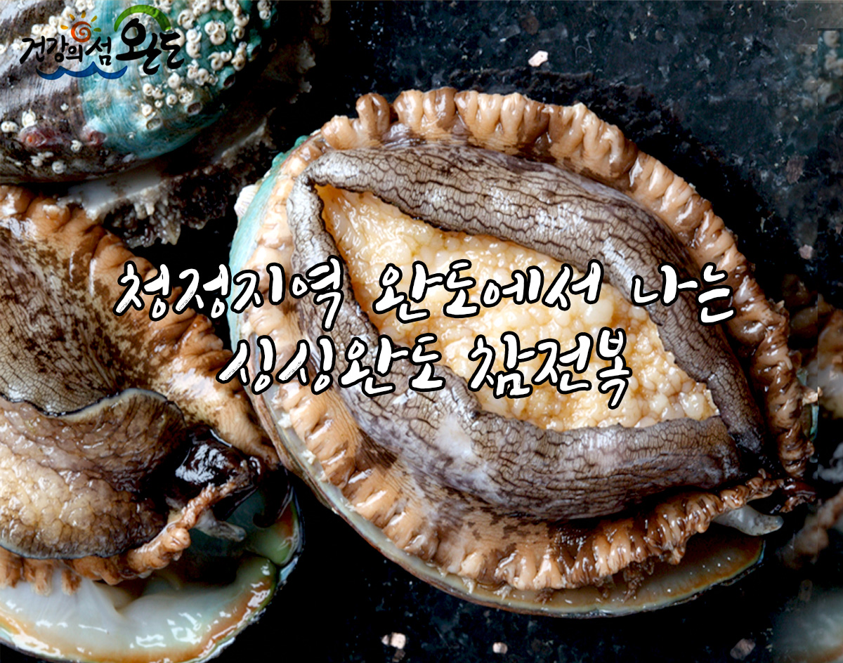 고급형 왕특대 전복 5-6미 1K : 완도참전복 영만수산