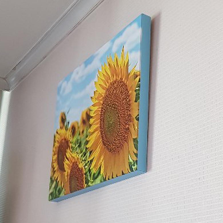 01 노란빛 해바라기 10종 거실인테리어 현관 두꺼비집가리개 미용실식당 개업선물 캔버스액자 : 지몬스터