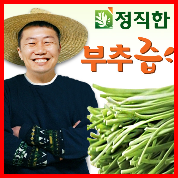정직한부추즙 60포 [정직한건강즙] : 정직한 건강즙