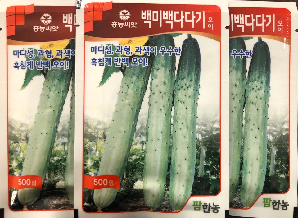 백미백다다기 오이(500립) / 마디성, 과형, 과색이 우수한 흑침계 반백 오이! : 흥농종묘사