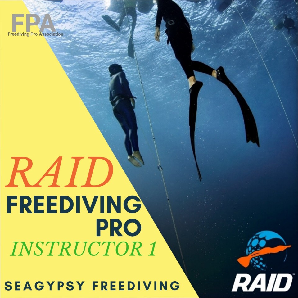 [FPA] RAID 프리다이빙 자격증 - 레벨 1 강사 교육 과정 : 씨집시프리다이빙