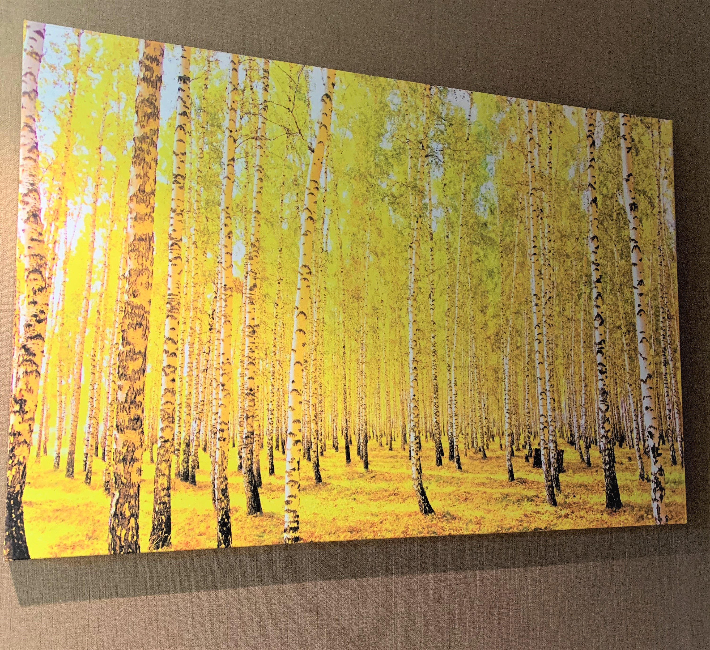 자작나무 액자 120x80cm 인테리어 거실 사무실 돈들어오는그림 황금빛 자작나무 숲A : 한결같이