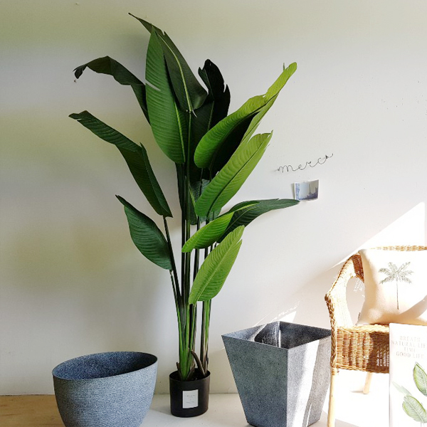 극락조(1M60cm)조화나무 인테리어 대형화분/여인초 인조 가짜나무/집들이선물 개업화분 : 어나더-그린