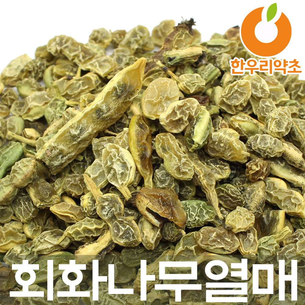 회화나무열매차 1800g 회화열매차 괴각 먹는법 : 한우리약초
