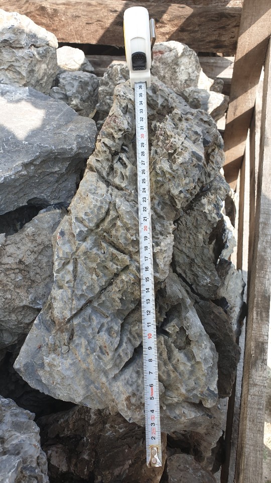 운암석 10-15kg 25-40cm 대형사이즈 큰돌 : 니모수족관-이프아쿠아샵