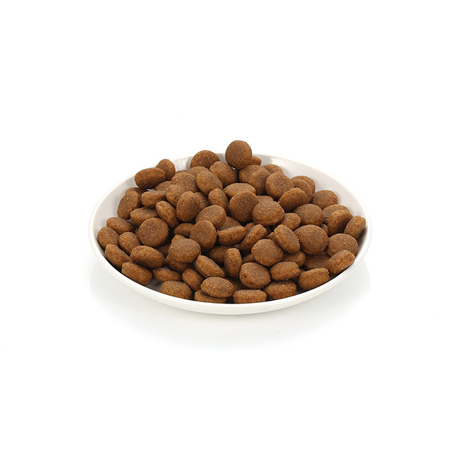 로얄캐닌 맥시 (성견시 체중 26Kg 이상 45Kg 미만 대형견) 어덜트, 4kg, 1개 : 펫 마트