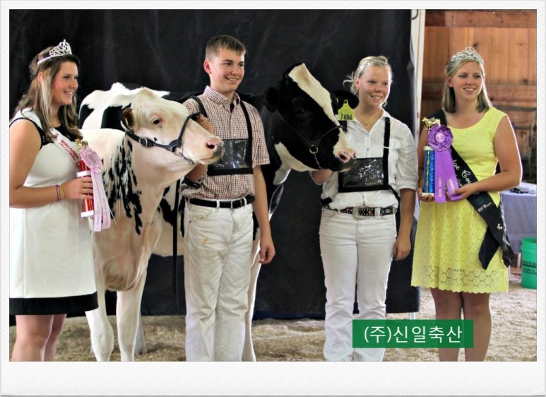 ★털손질 스프레이 / 등선세우기 스프레이 / 리바이브 / 홀스타인품평회 /  축산기자재 / 홀스타인 / 품평회용품 / 신일축산 / 백년가게 : 백년가게