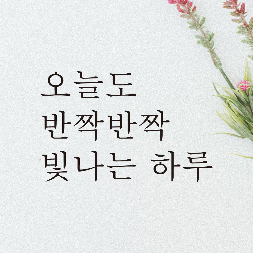 오늘도 반짝반짝 빛나는 하루 레터링 스티커 L-034S검정 : 어썸투데이