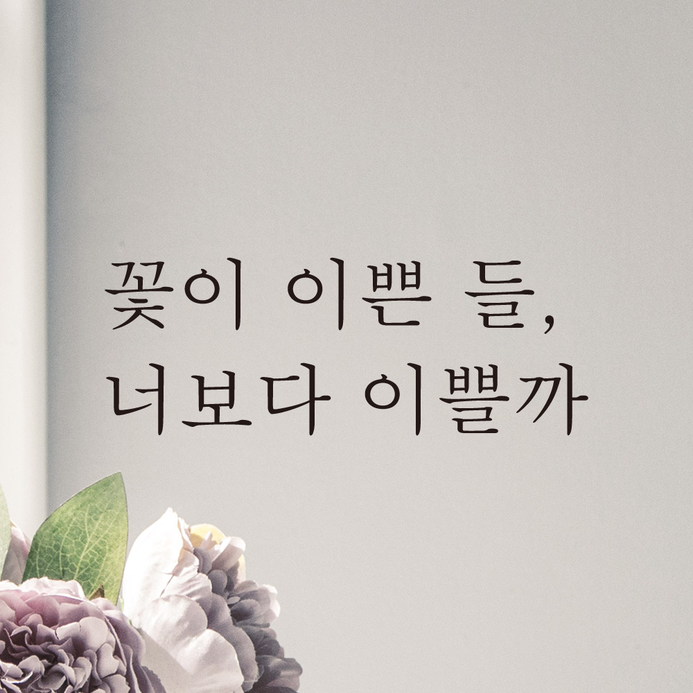 꽃이 이쁜 들 너보다 이쁠까 레터링 스티커 L-048S검정 : 어썸투데이