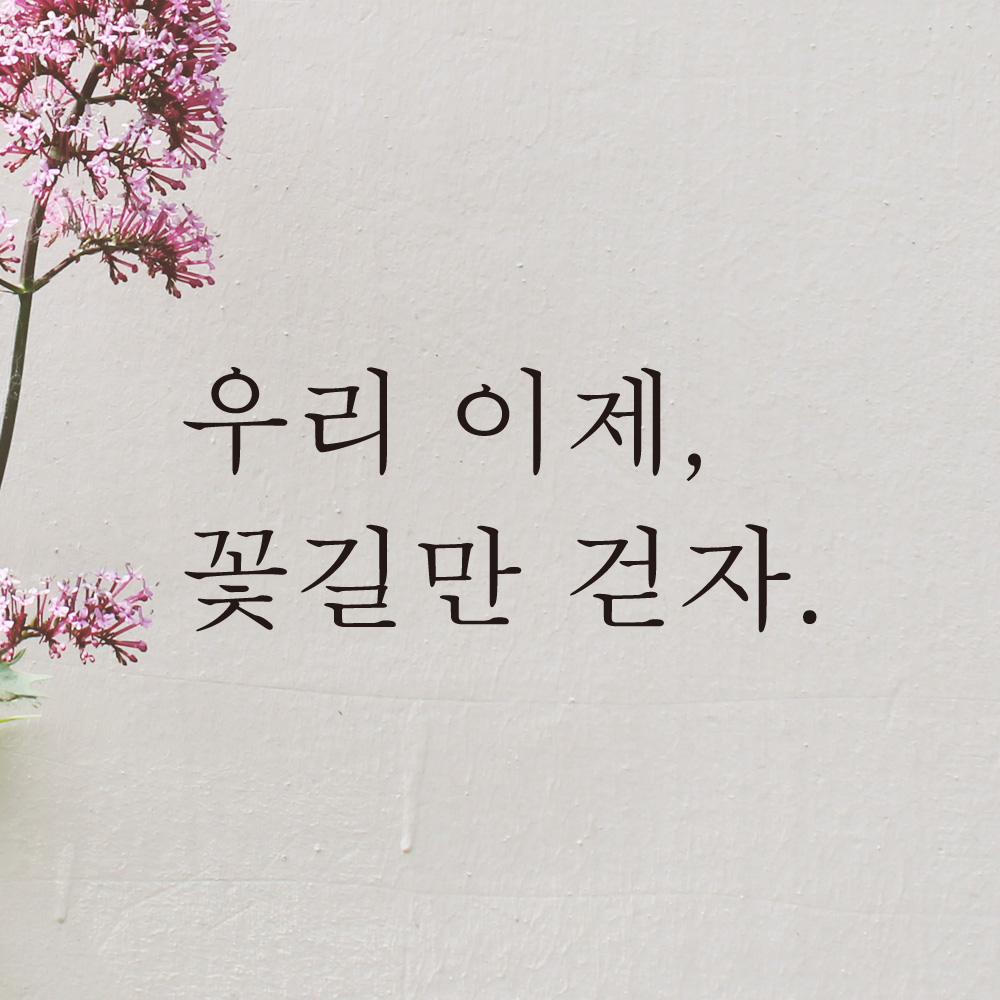 우리 이제 꽃길만 걷자 레터링 스티커 L-046S검정 : 어썸투데이
