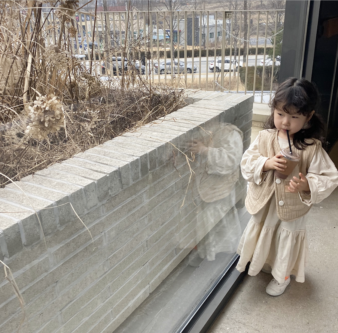 메르시베스트 : 메르시디