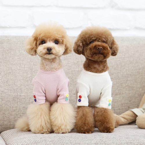 [잇츠독] 와플 올인원 3가지색상 (S~2XL) : 송원 펫마트