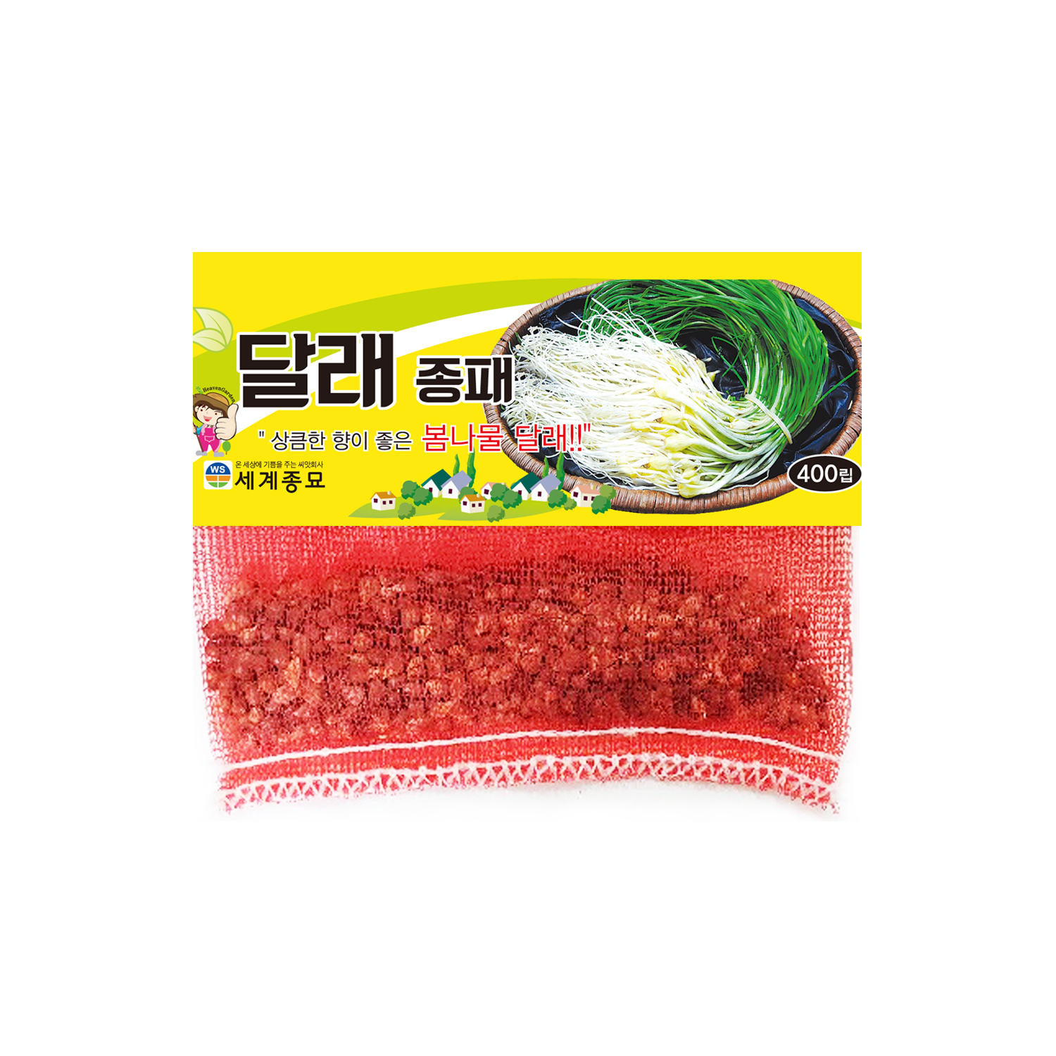 달래종패 400립 / 달래 달래씨앗 이색종자 : 초록스타
