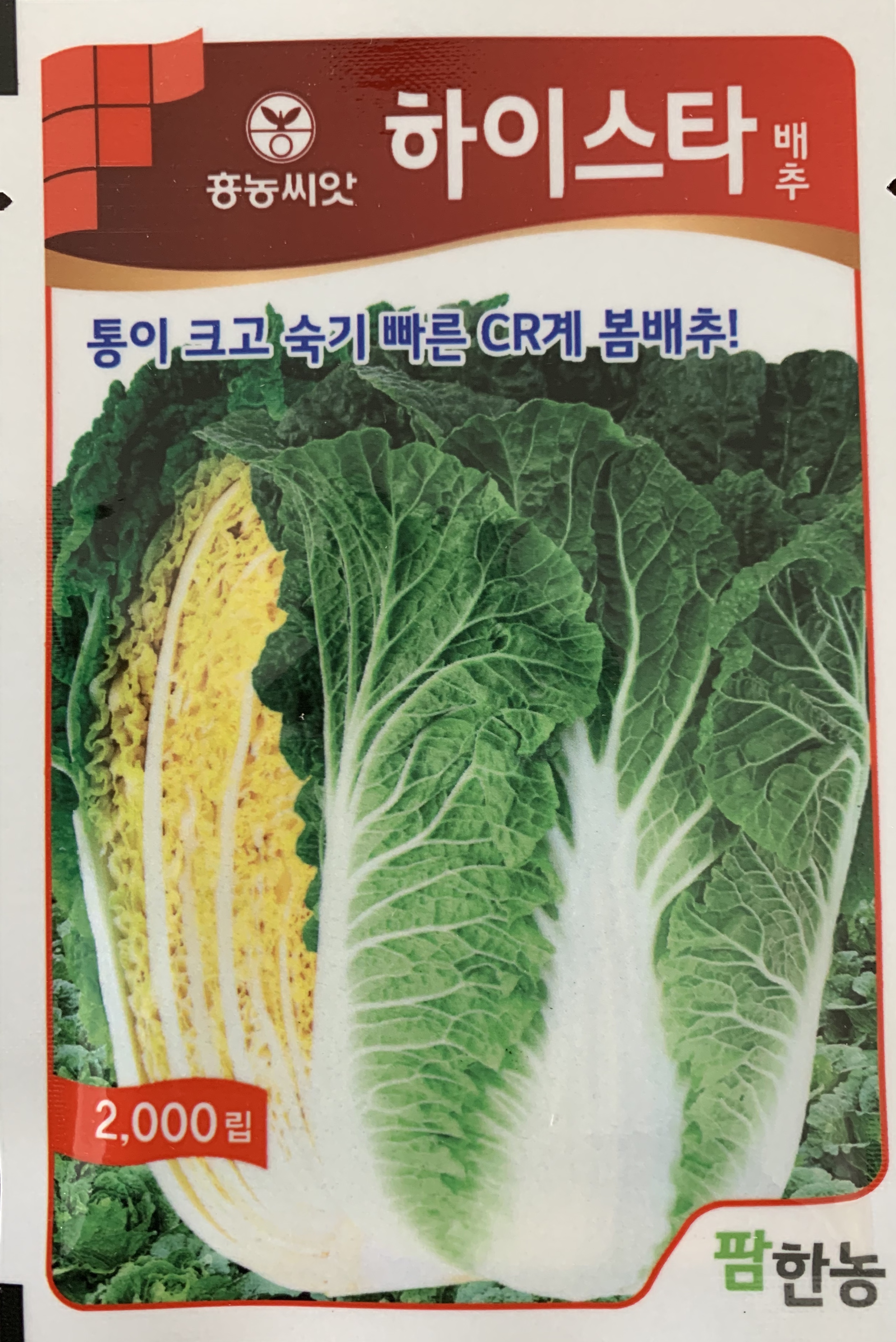 하이스타배추(2,000립) / 통이 크고 숙기 빠른 CR계 봄배추! : 흥농종묘사흥농아그로흥농TV
