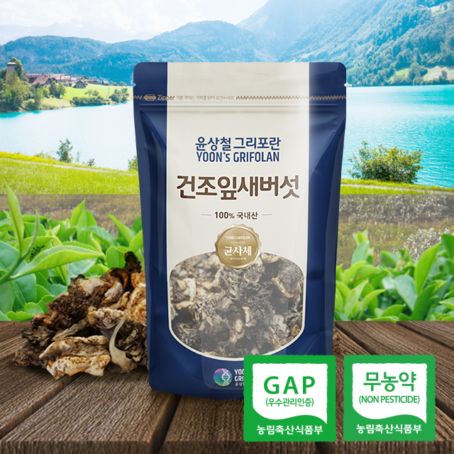 잎새버섯 뿌리 균사체 100g 무농약 GAP 국내산 베타글루칸 고함량 : 유앤디 인터내셔널
