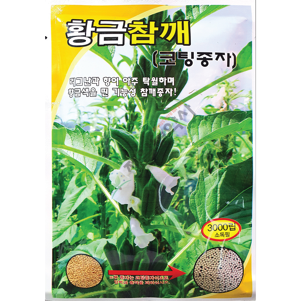 황금참깨씨앗 3000립발송 24년 : 제일농약사