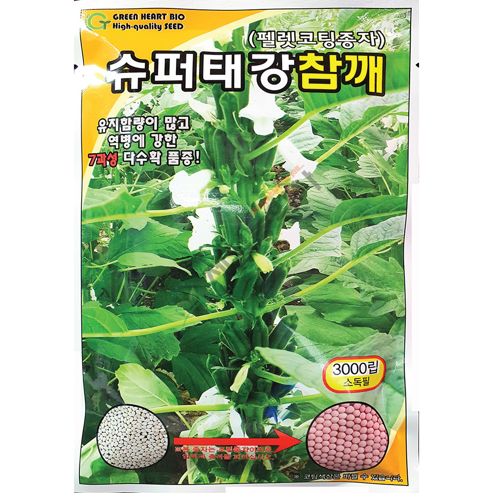 슈퍼태강참깨씨앗 3000립 25년 : 제일농약사