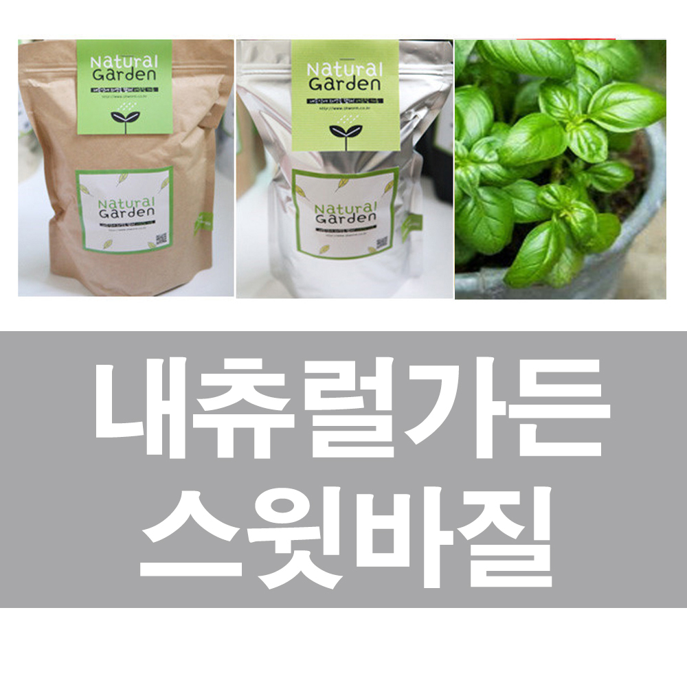 화분백화점 내츄럴가든 스윗바질 : 화분백화점