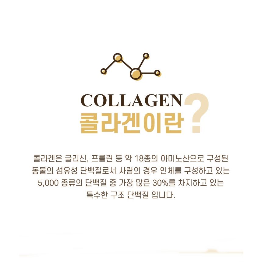 뉴바이오 저분자 피쉬 콜라겐 피부건강 다이어트 : 건강터