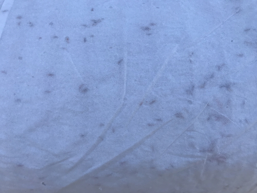 황마씨네트 1x50m 씨쥬트네트 씨네트 황마종자네트 경사면시공 사면녹화 : 나라조경자재