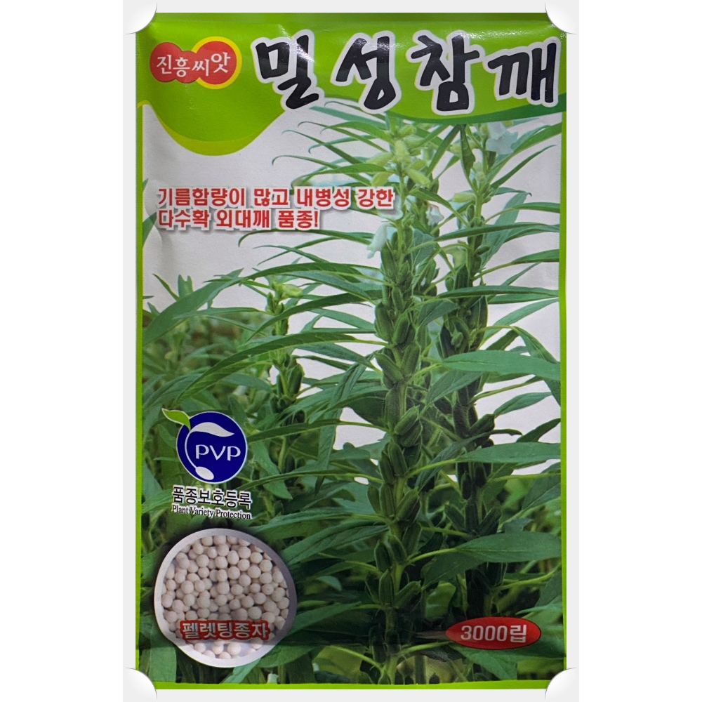 밀성 참깨씨앗 3000립-기름함량이 많고 내병성 강한 다수확 외대깨(코팅씨앗)2022년포장 : 서진농약사
