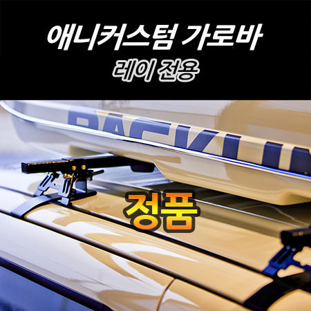 레이 전용 애니커스텀 가로바 : 팩라인루프박스 공식판매점