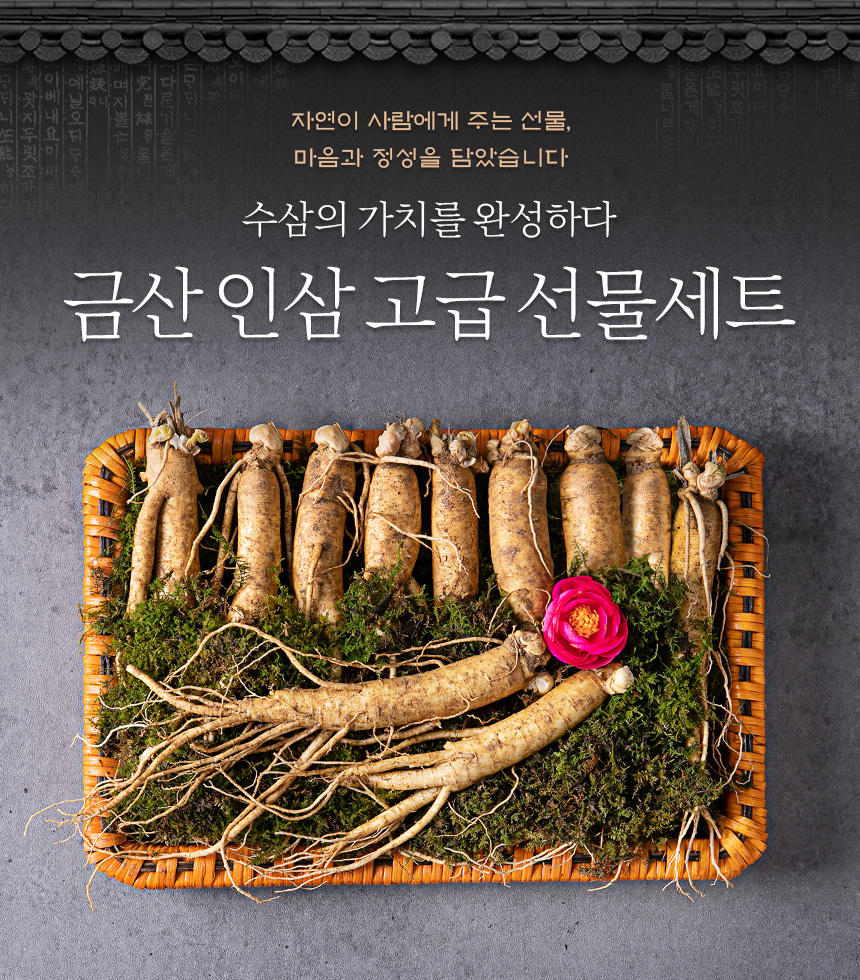 금산 인삼 고급 포장 선물 세트 750g : 상세한세상