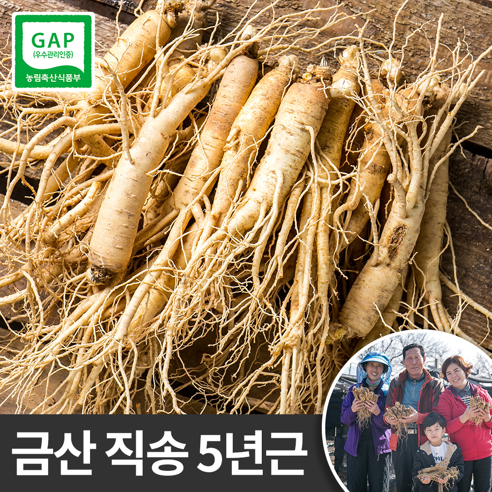 금산 인삼 삼계용 수삼 750g 대 5년근 백숙용 튀김 요리 한채 진공포장 인삼차 : 세일즈파워