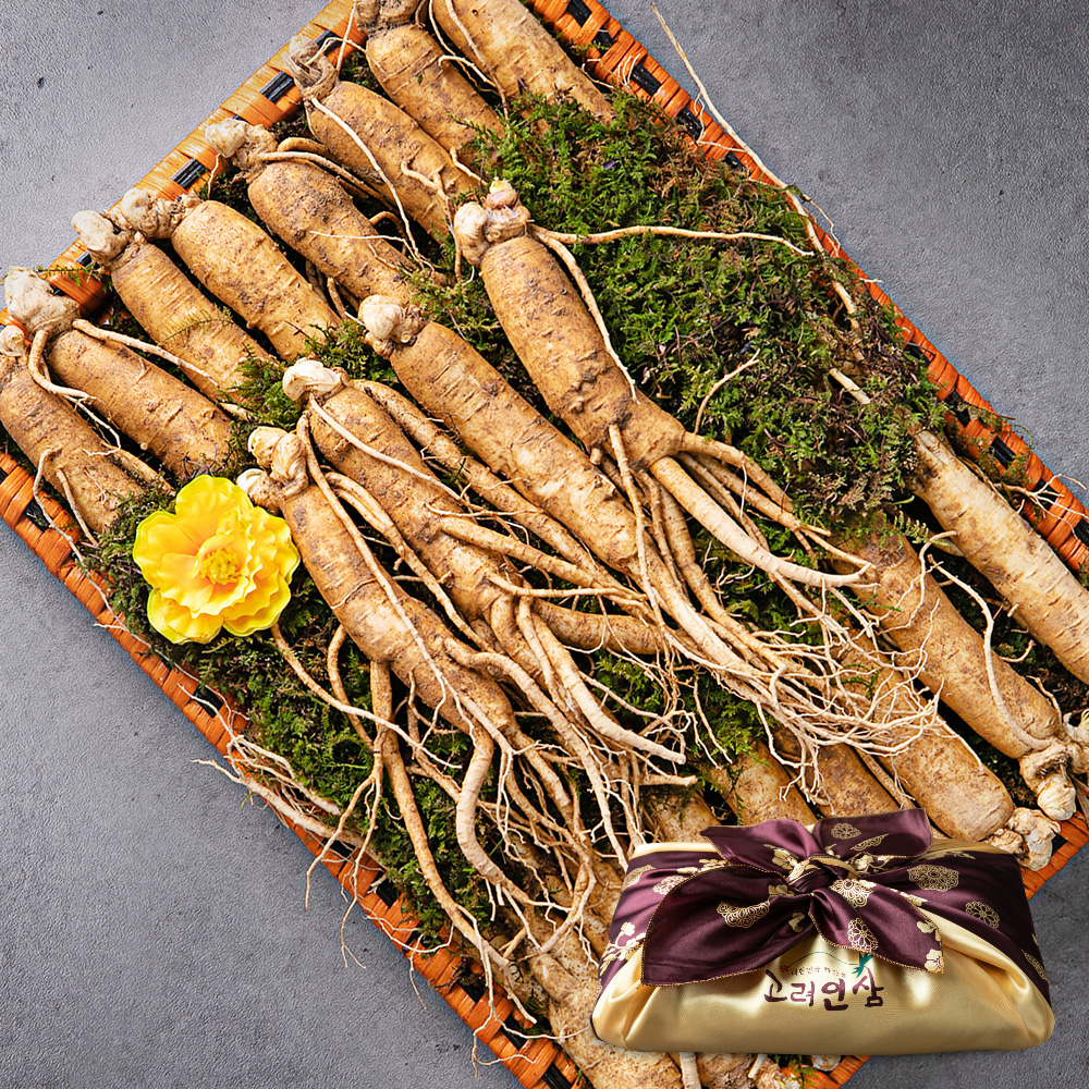 고급 금산인삼 선물세트 1kg+공단보자기 직송 고려 수삼 명절 1채 선물용 포장 : 세일즈파워