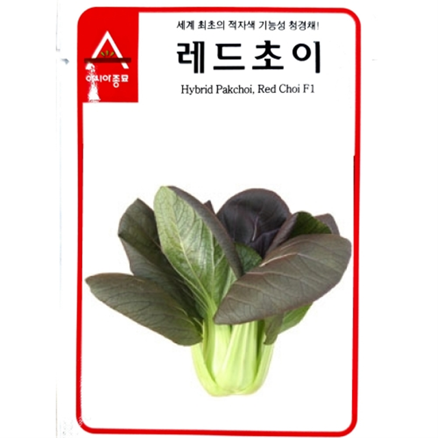 청경채씨앗 레드쵸이 (120g) - 기능성 청경채 : 쑤기네마트