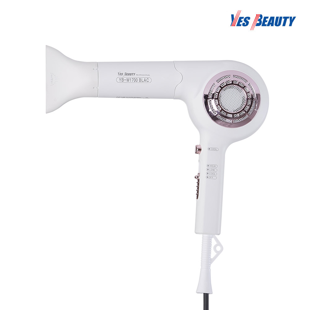 예스뷰티 항공모터 BLAC 특허 헤어드라이기 YB-W1700BLAC : 모리츠
