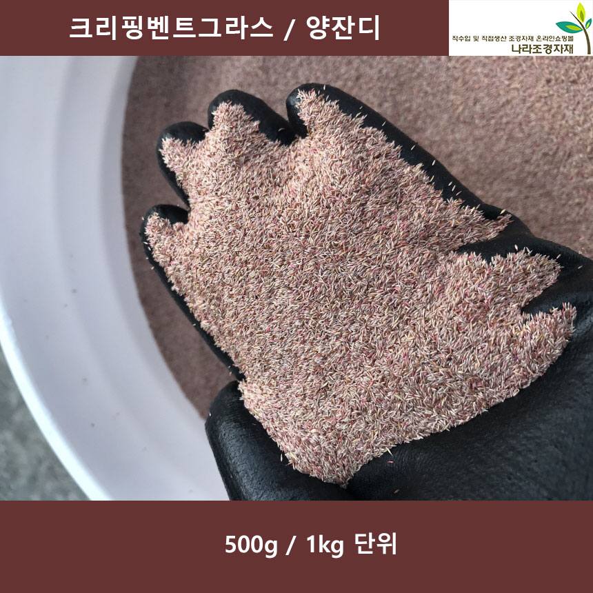 크리핑벤트그라스 1kg 벤트그라스 그린잔디 : 나라조경자재